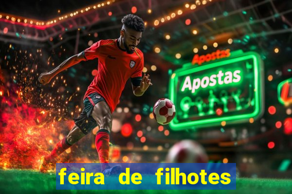 feira de filhotes porto alegre